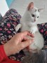 Rina (1)